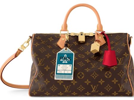 Louis Vuitton Speedy Soft 30 Crafty Discount