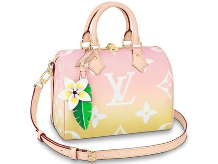 Louis Vuitton Speedy Bandouliere Gradient Pastel 25 Light Pink Fashion