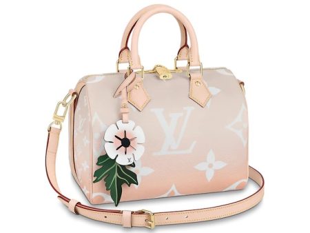 Louis Vuitton Speedy Bandouliere Gradient Pastel 25 Mist Gray For Discount