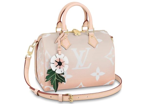 Louis Vuitton Speedy Bandouliere Gradient Pastel 25 Mist Gray For Discount